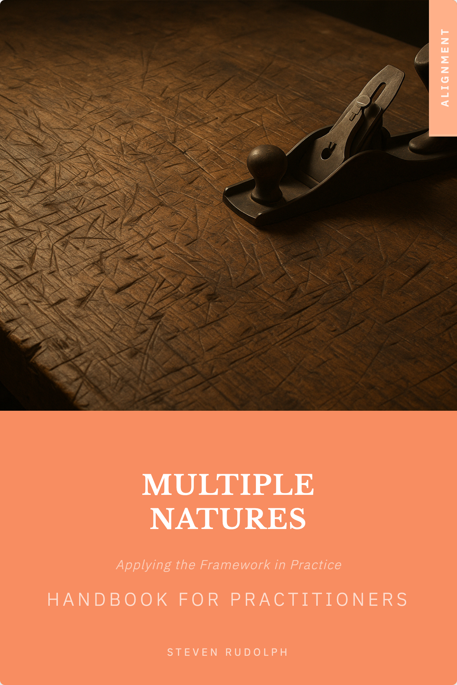 MN for Practitioners book cover