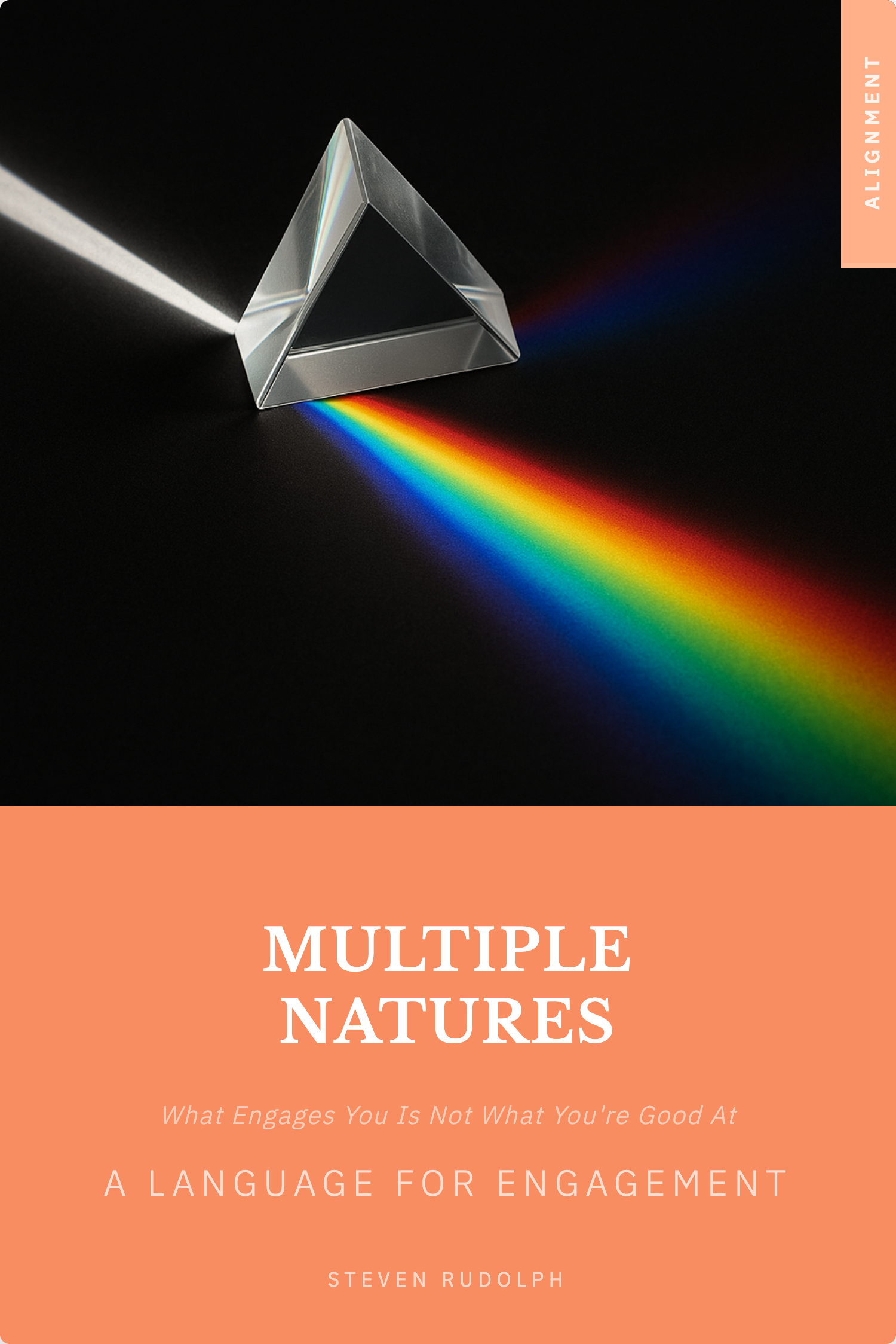 Multiple Natures book cover