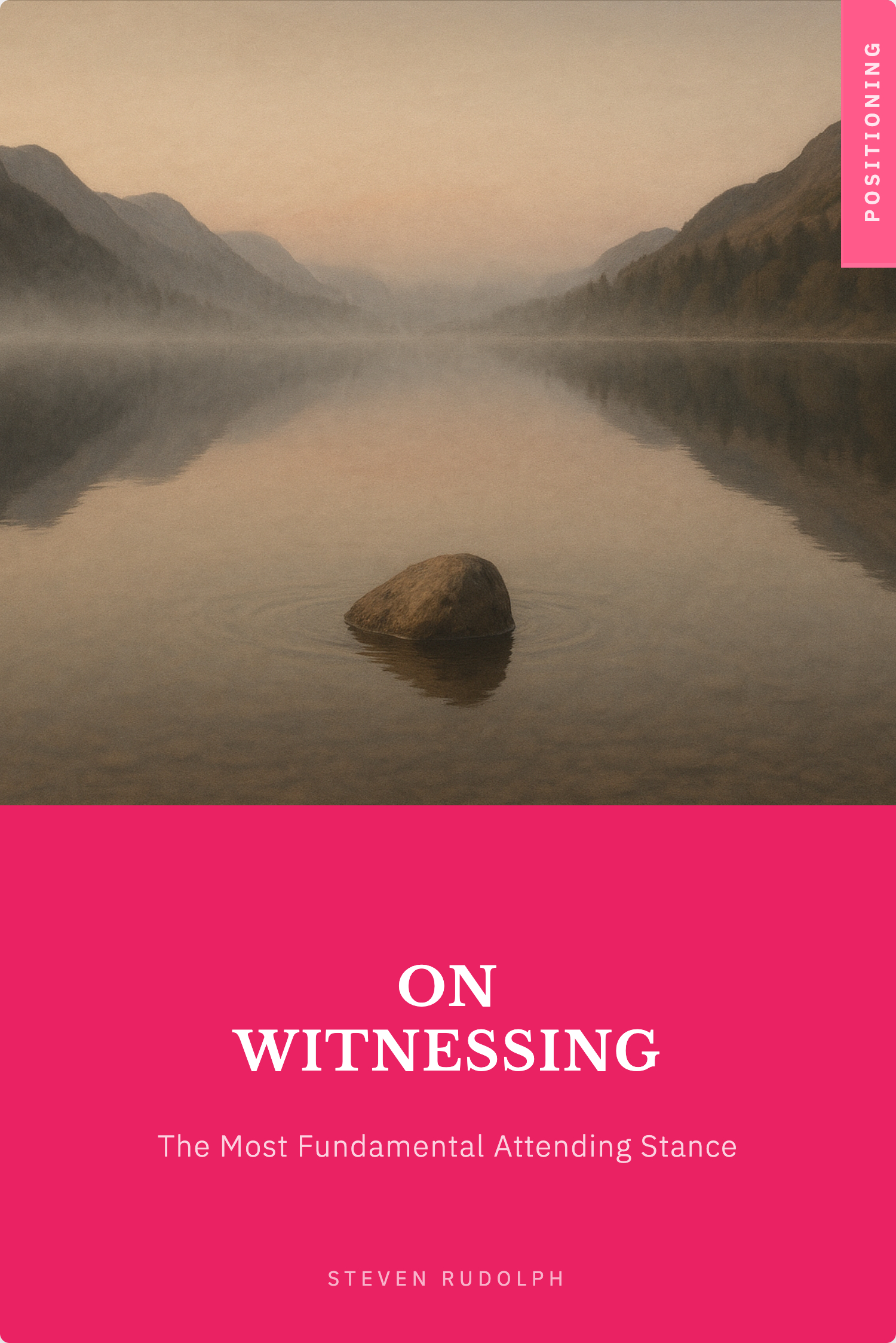 On Witnessing book cover
