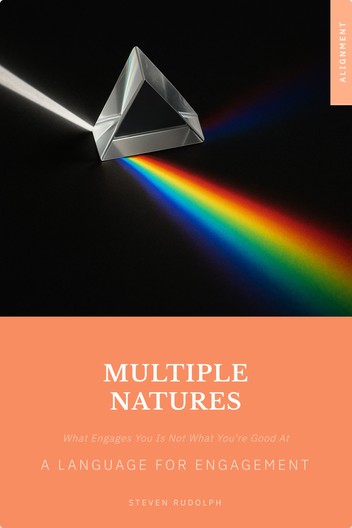 Multiple Natures book cover