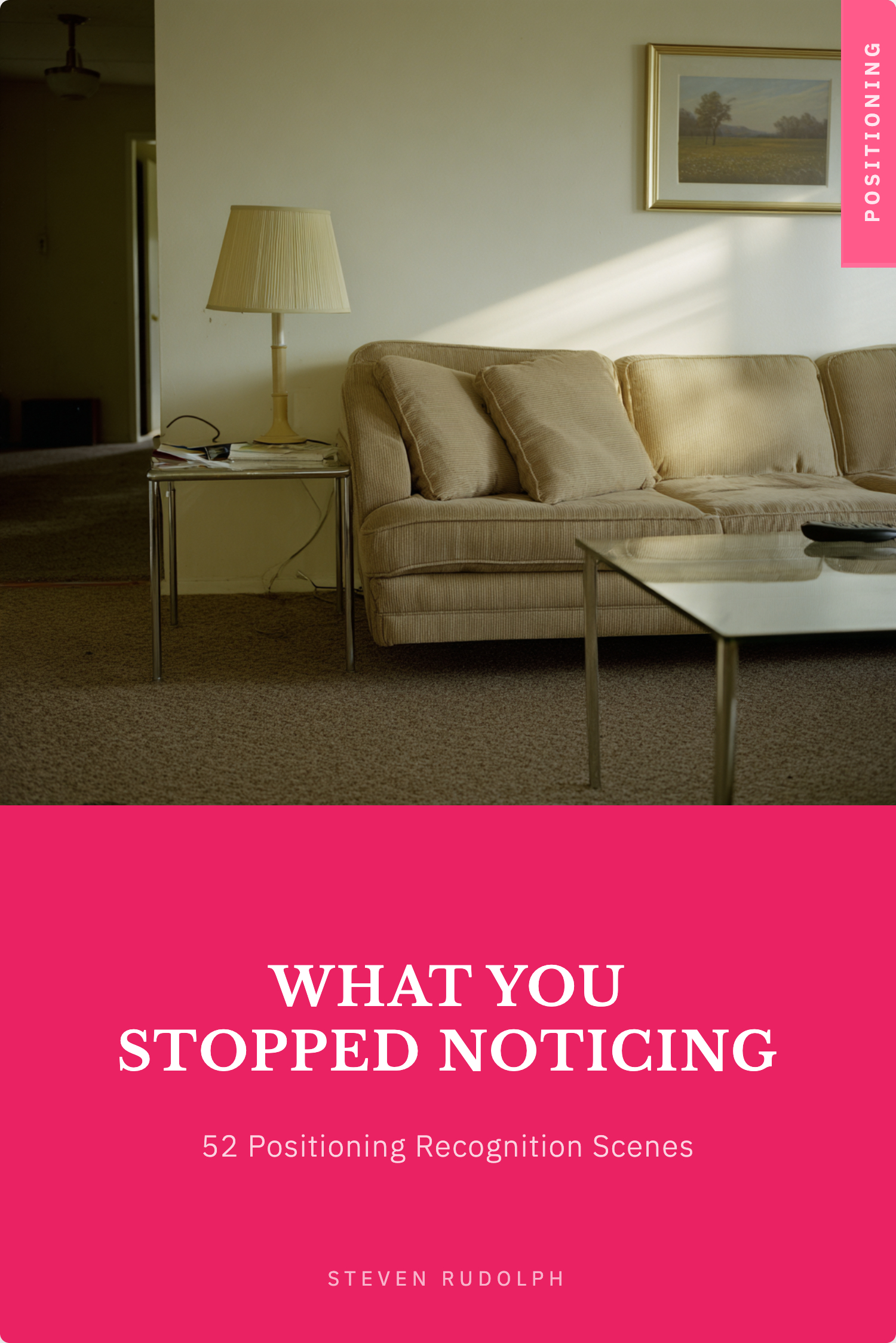 What You Stopped Noticing book cover
